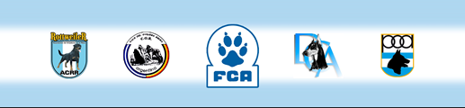 FCA Competencia IGP