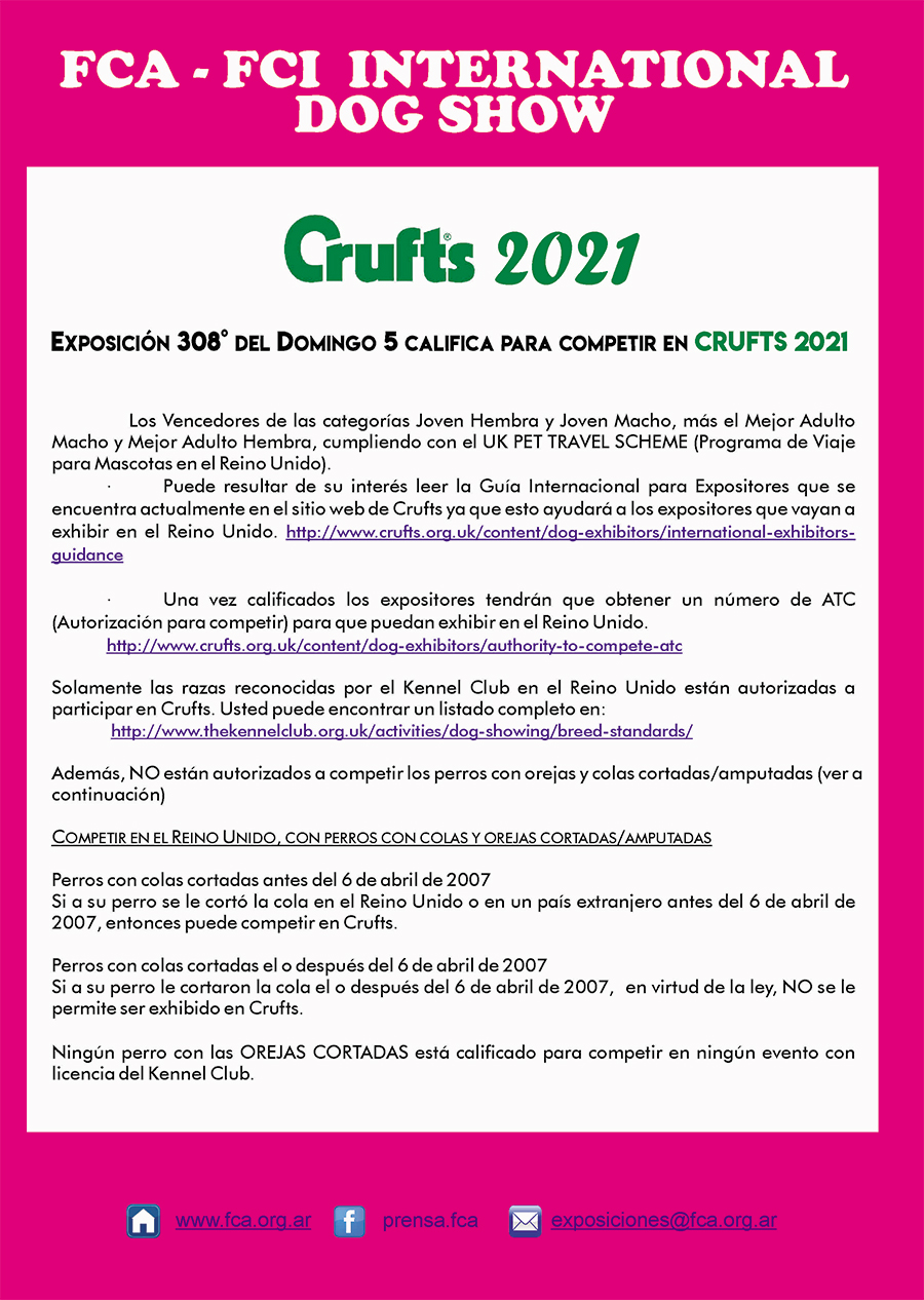 2020 EXPO FCA Publicidad 4
