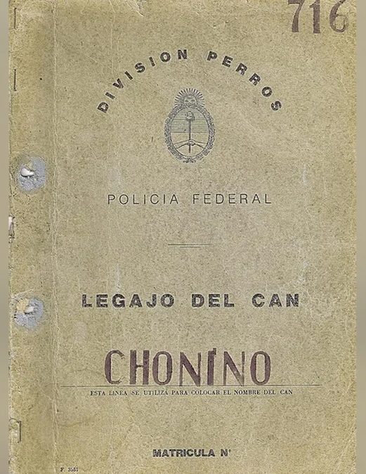 CHONINO 1
