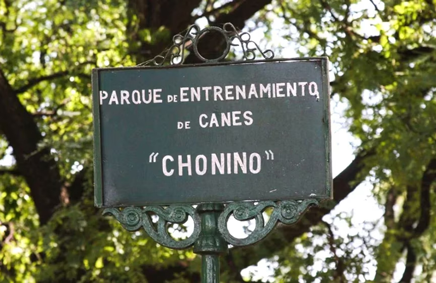 CHONINO 4