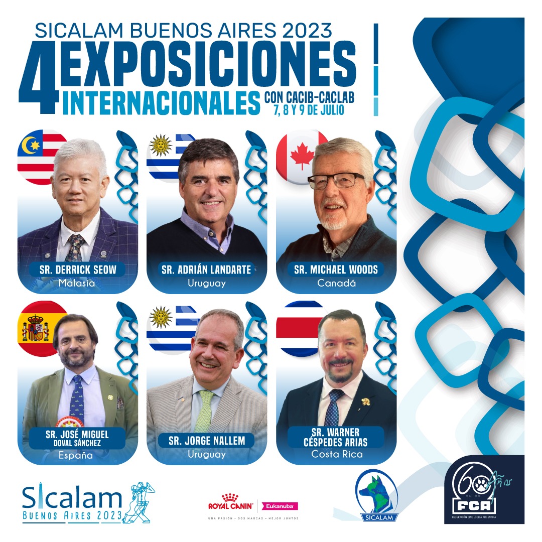 TODOS LOS JUECES
